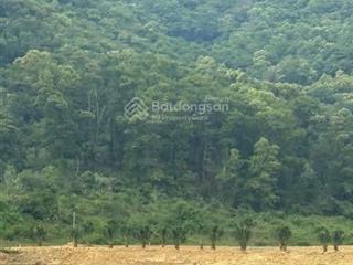 Đất giáp nước hồ sinh thái nghỉ dưỡng minh trí  sóc sơn 700m2 lưng tựa núi, phong thủy tốt giá rẻ