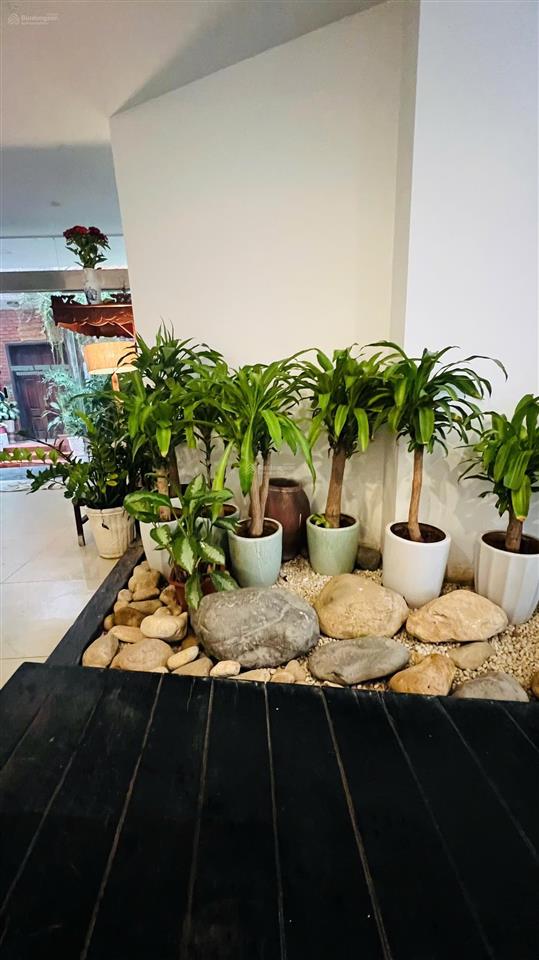 Bán tòa nhà 8 tầng diện tích 193m2 khu phố đường tây hồ quảng an tây hồ, hà nội  0981 222 ***