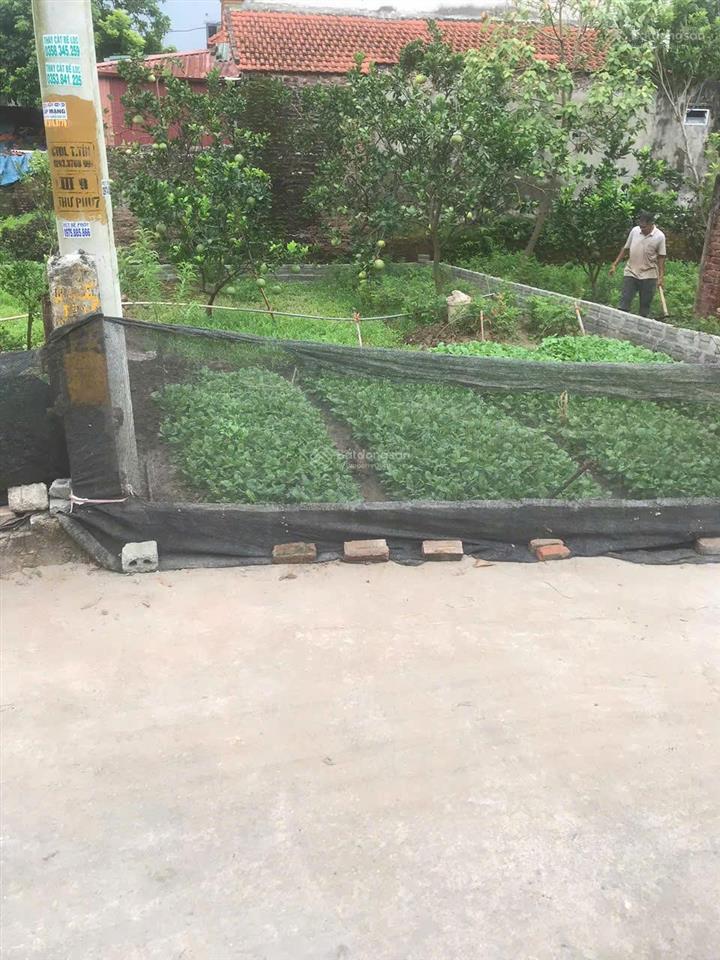 Chính chủ bán lô đất siêu tiềm năng 80m2 phú mỹ , chương dương, hà nội. giá tốt