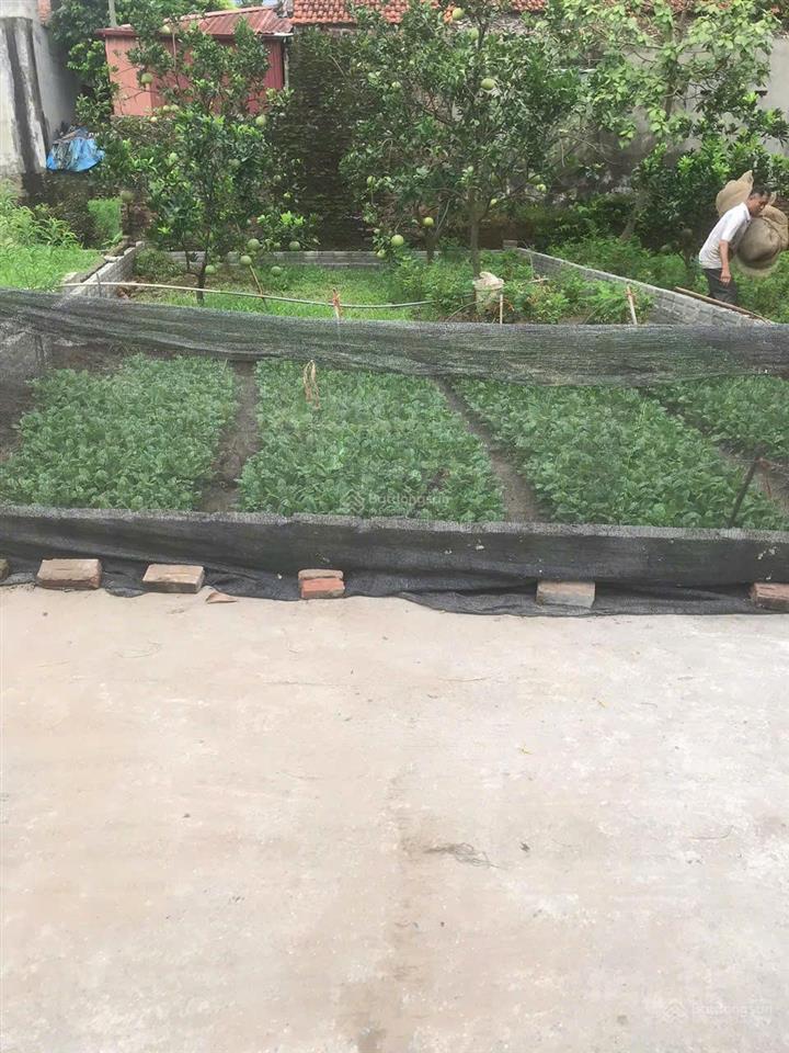 Chính chủ bán lô đất siêu tiềm năng 80m2 phú mỹ , chương dương, hà nội. giá tốt