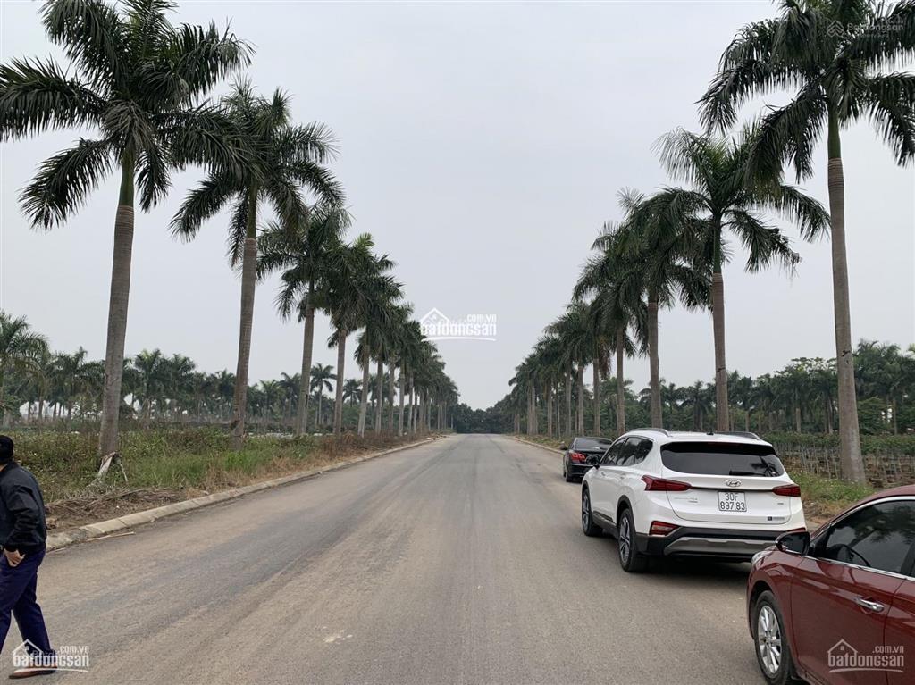 Siêu phẩm đất nền khu đô thị hoàng vân trung tâm mê linh  tiềm năng tăng giá cực cao  0988 821 ***