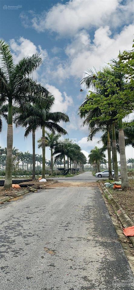 Siêu phẩm đất nền khu đô thị hoàng vân trung tâm mê linh  tiềm năng tăng giá cực cao  0988 821 ***