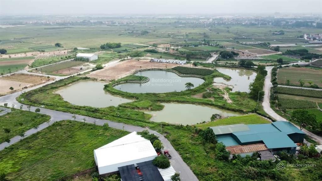 Bán đất đô thị sổ đỏ lâu dài 300m2 kđt cienco5, mê linh, hà nội