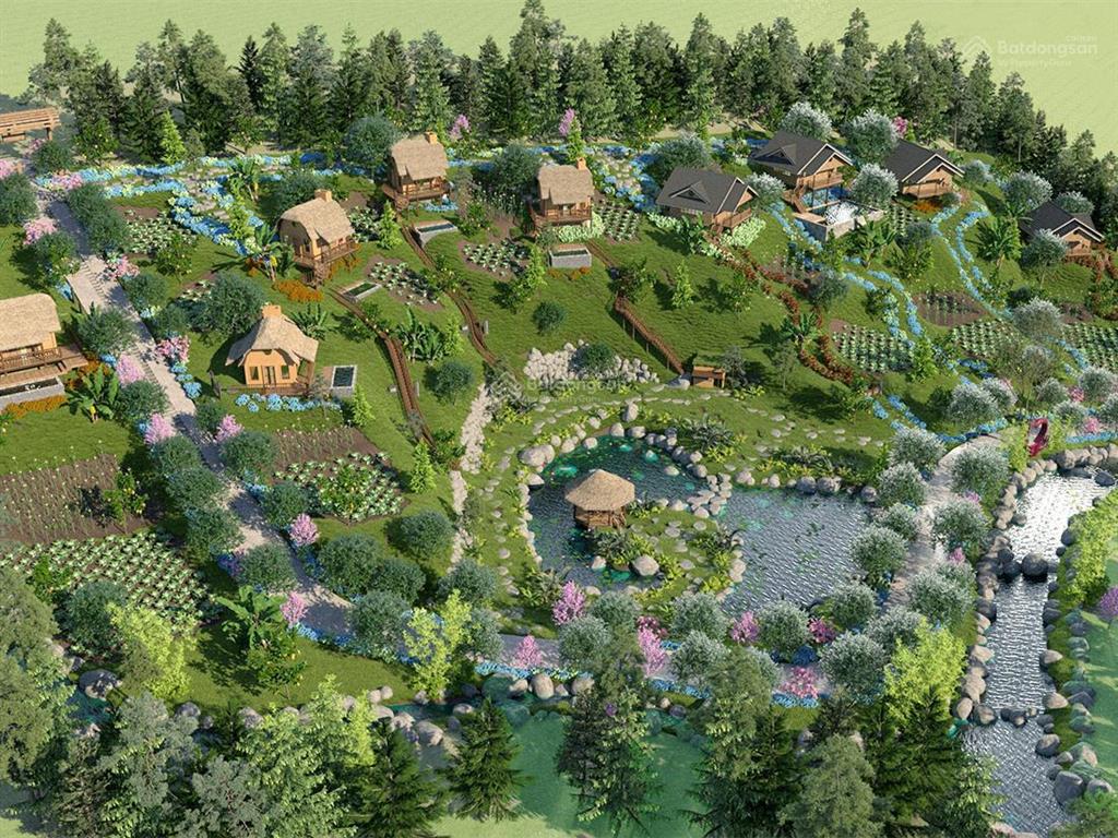 Cho thuê đất hoặc hợp tác làm trang trại chăn nuôi tại chương mỹ, hà nội