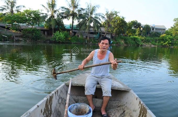 Cho thuê đất hoặc hợp tác làm trang trại chăn nuôi tại chương mỹ, hà nội