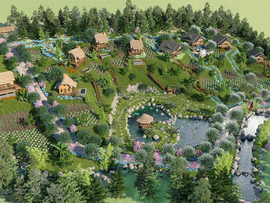 Cho thuê đất hoặc hợp tác làm trang trại chăn nuôi tại chương mỹ, hà nội