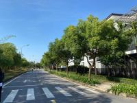 Chính chủ  bán liền kề 110m2 và song lập/đơn lập  giá đắt  vị trí đẹp  gọi là có hàng ngay