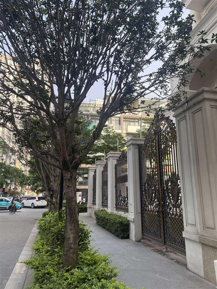 Biệt thự the zei mỹ đình, diện tích 243m², dtxd 530 m², giá tốt từ chủ đầu tư.