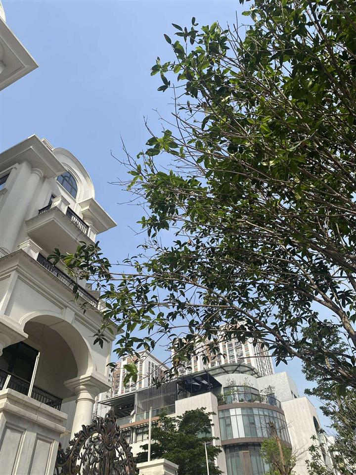 Biệt thự the zei mỹ đình, diện tích 243m², dtxd 530 m², giá tốt từ chủ đầu tư.