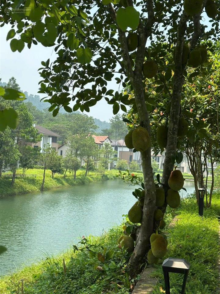 Bảng giá 5 căn biệt thự đồi độc quyền, giá tốt nhất thị trường, view hồ thiều quang đẹp nhất dự án