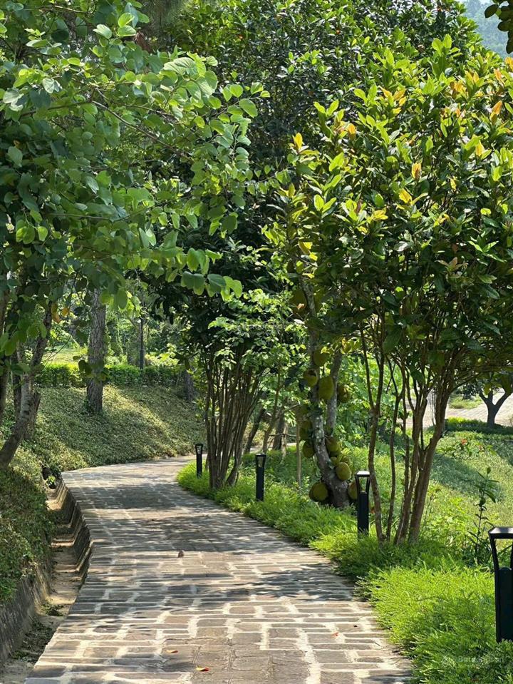 Bảng giá 5 căn biệt thự đồi độc quyền, giá tốt nhất thị trường, view hồ thiều quang đẹp nhất dự án