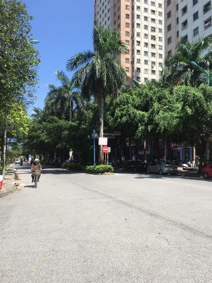 Bán liền kề xa la 125m2x4t, cách phố hạnh hoa 50m, lô góc, siêu kinh doanh giá nhỉnh 30 tỷ