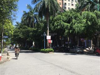 Bán liền kề xa la 125m2x4t, cách phố hạnh hoa 50m, lô góc, siêu kinh doanh giá nhỉnh 30 tỷ