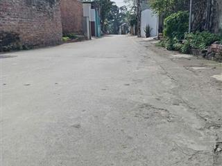 Bán 154m2 Đông Yên, Quốc Oai chỉ 2.25 tỷ