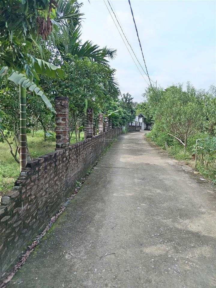 Bán 595m2 hoà thạch  quốc oai, ô tô vào tận đất