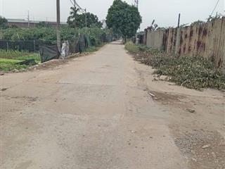 Bán 1950m2 đất 50 năm Phượng Sơn _ Quốc Oai, 4 tỷ 300 triệu