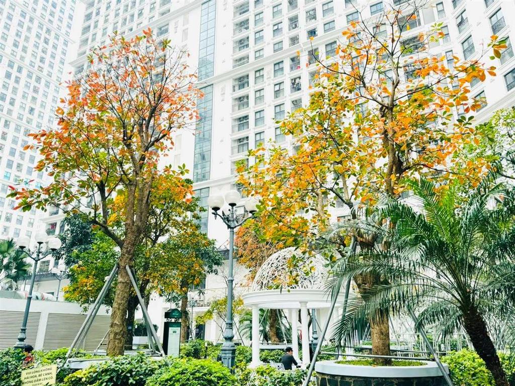 Cho thuê the emerald cập nhật tháng 9/2026, mình là cư dân ở đây, căn e2.11.4, không chào ảo