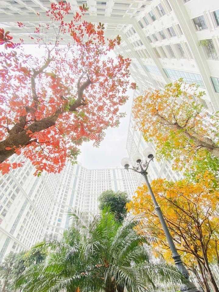 Cho thuê the emerald cập nhật tháng 9/2026, mình là cư dân ở đây, căn e2.11.4, không chào ảo