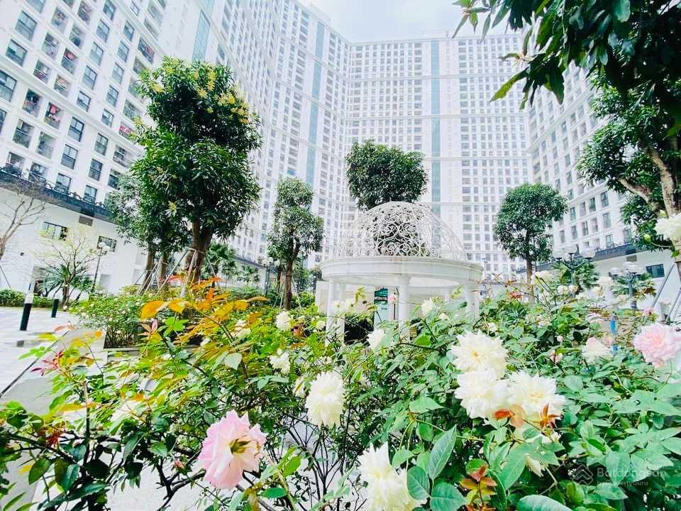 Cho thuê the emerald cập nhật tháng 9/2026, mình là cư dân ở đây, căn e2.11.4, không chào ảo