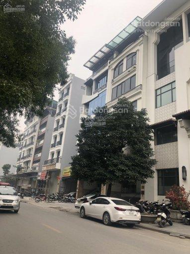 Bán đất phân lô vip khu plô trần đăng ninh trương công giai cầu giấy diện tích 128 m2 giá 75 tỷ