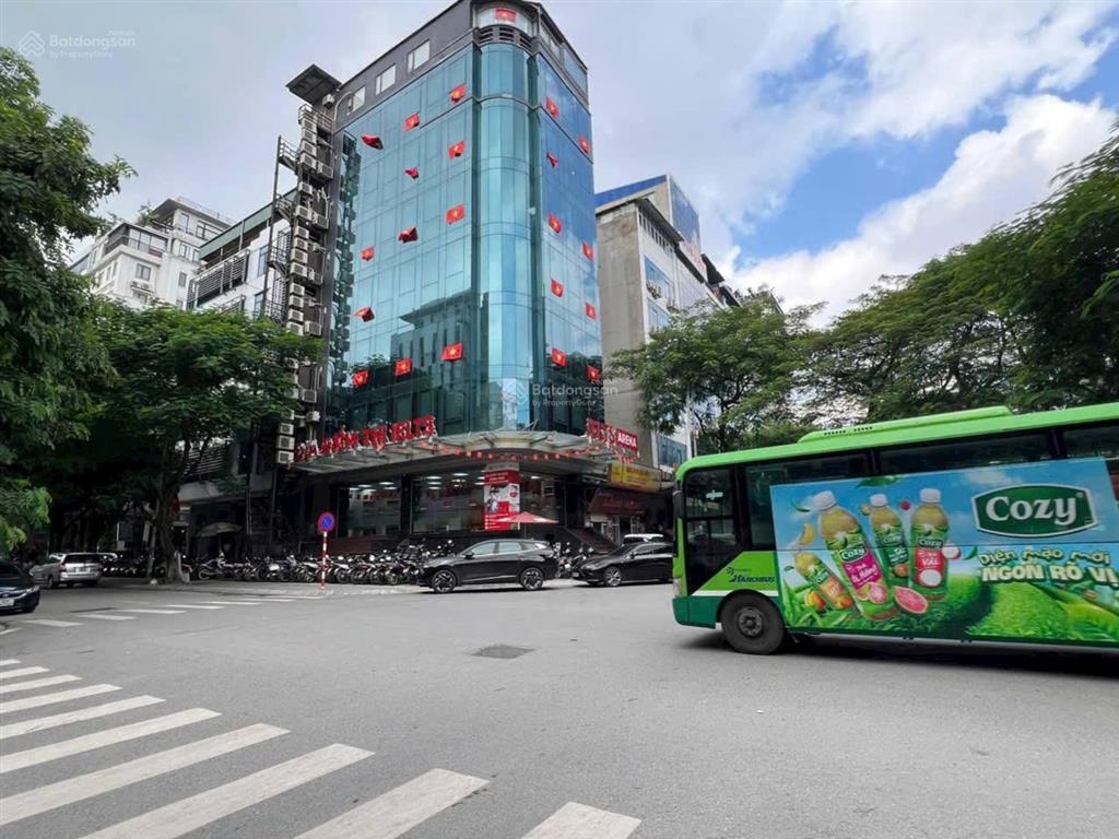 Bán đất phân lô vip khu plô trần đăng ninh trương công giai cầu giấy diện tích 128 m2 giá 75 tỷ