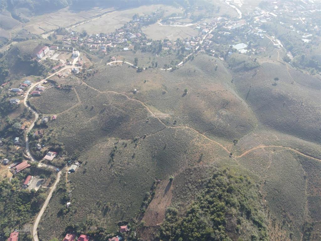 Bán 6,5ha đất sổ đỏ chiềng khoa nghỉ dưỡng cao cấp y tế trị liệu dưỡng lão teahill vân hồ