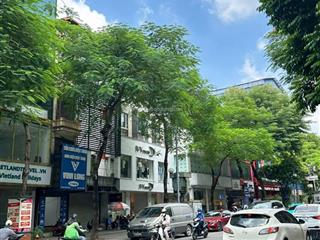 Bán đất linh lang phan kế bính. ô tô vào. cách phố 10m. diện tích sổ đỏ 40mv, mặt tiền 4m. 9 tỷ