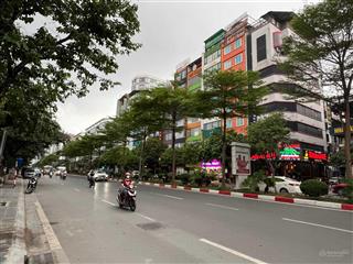 Bán nhà phố trần thái tông 55 tỷ 126m2 mặt tiền 7,2m vị trí đẹp kinh doanh sầm uất