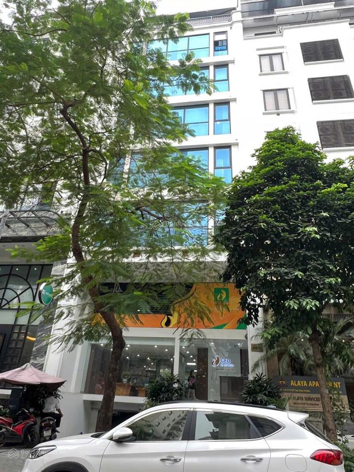 Bán gấp nhà phố trần thái tông 107 tỷ 260m2, mặt tiền 9m đường hè 3 ô tô phong thủy tốt vj trí đẹp