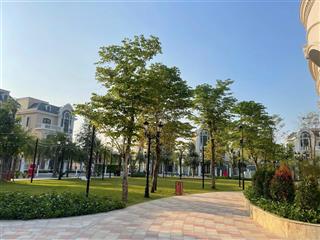 Tổng hợp quỹ căn chuyển nhượng bàn giao thô phân khu cọ xanh, hải âu, chà là vinhomes ocean park 2