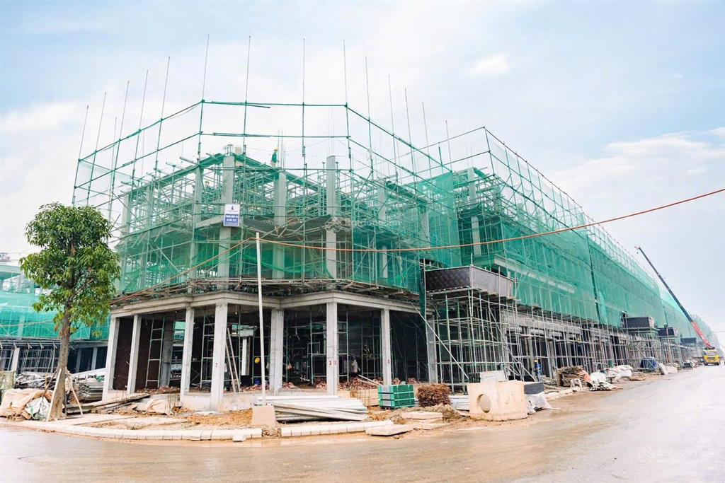 Tổng hợp quỹ căn chuyển nhượng liền kề, biệt thự phân khu thịnh vượng dự án vinhomes cổ loa