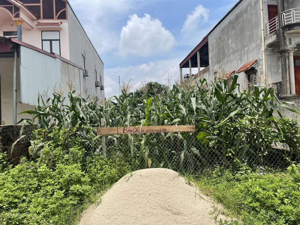 Bán đất mặt đường ql32 trục hà nội phú thọ 172m2 giá chỉ hơn 2 tỷ