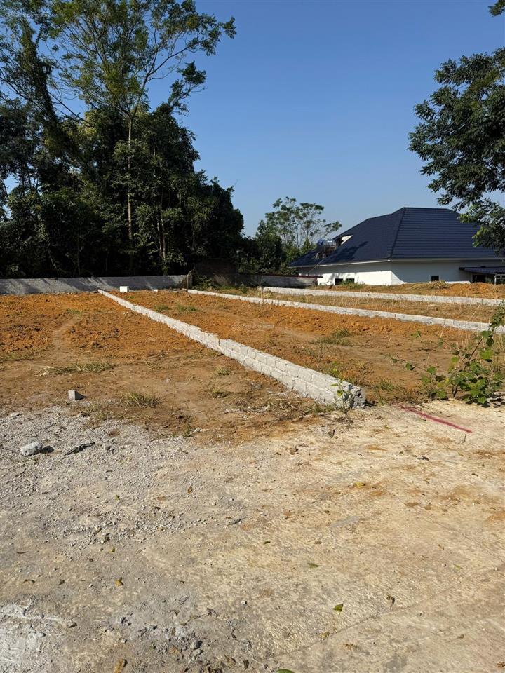 Bán lốc 8 lô tt thắng, hiệp hoà, bg ô tô vào, sẵn sổ, vị trí đẹp  chỉ 5xx triệu