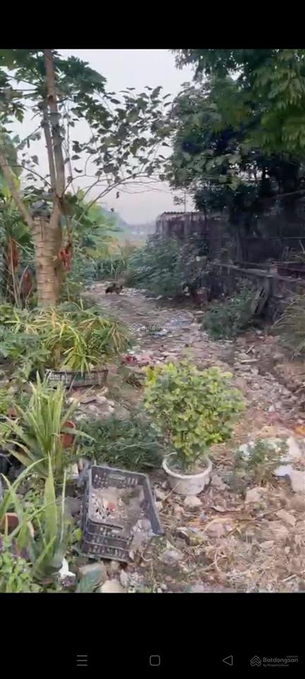 Bán đất tl295 hiệp hoà, bắc giang gần 200m2, mt 9m, kinh doanh tốt giá 4.5 tỷ