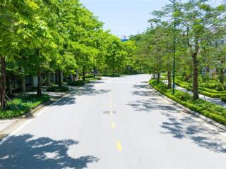 Ô động đất à? không phải đâu là biệt thự ciputra 3 đó ạ. diện tích 140m  250m. giá từ 60  90 tỷ ạ