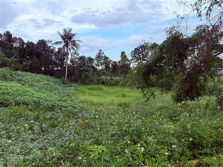 Siêu phẩm đất trang trại 5ha có đất ở view đẹp như mơ giá cực tốt tại ba vì, 17 tỷ