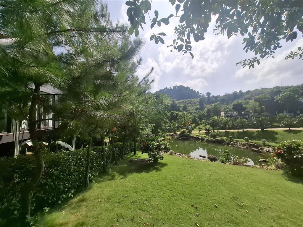 Bán đất 3338m2, mặt tiền 80m tại vân hòa, ba vì, hà nội, giá 5 triệu / m2, view đẹp