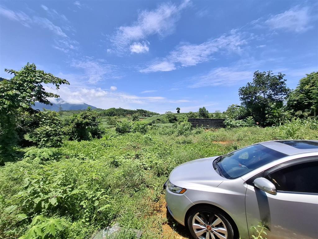 Sở hữu hơn 1,1ha đất siêu đẹp ba vì  hà nội giá chỉ 8 tỷ