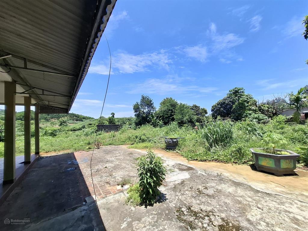 Sở hữu hơn 1,1ha đất siêu đẹp ba vì  hà nội giá chỉ 8 tỷ