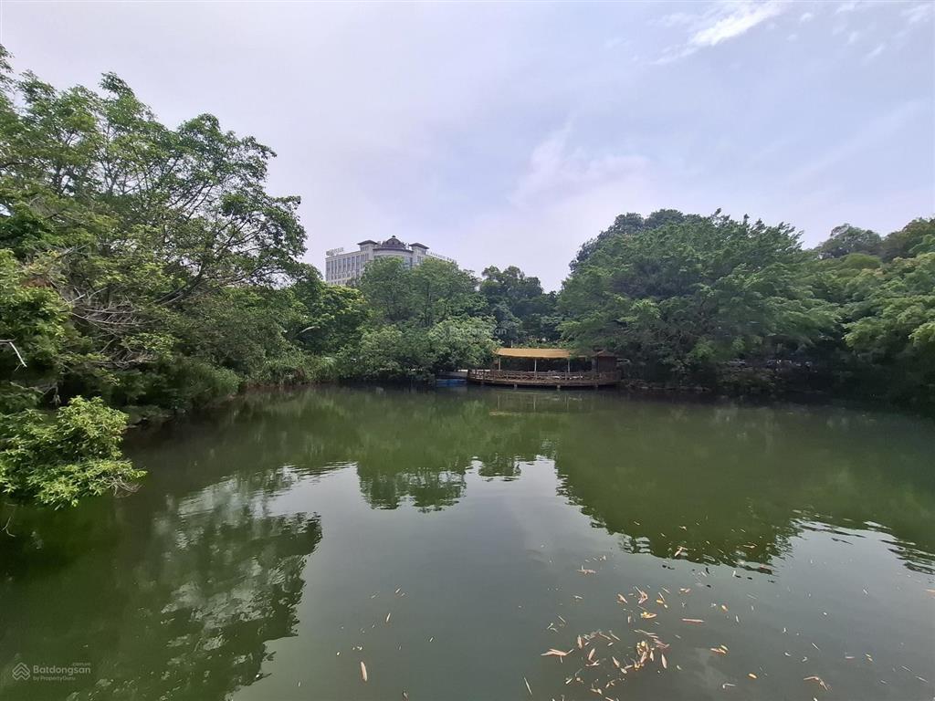 Sở hữu hơn 1,1ha đất siêu đẹp ba vì  hà nội giá chỉ 8 tỷ