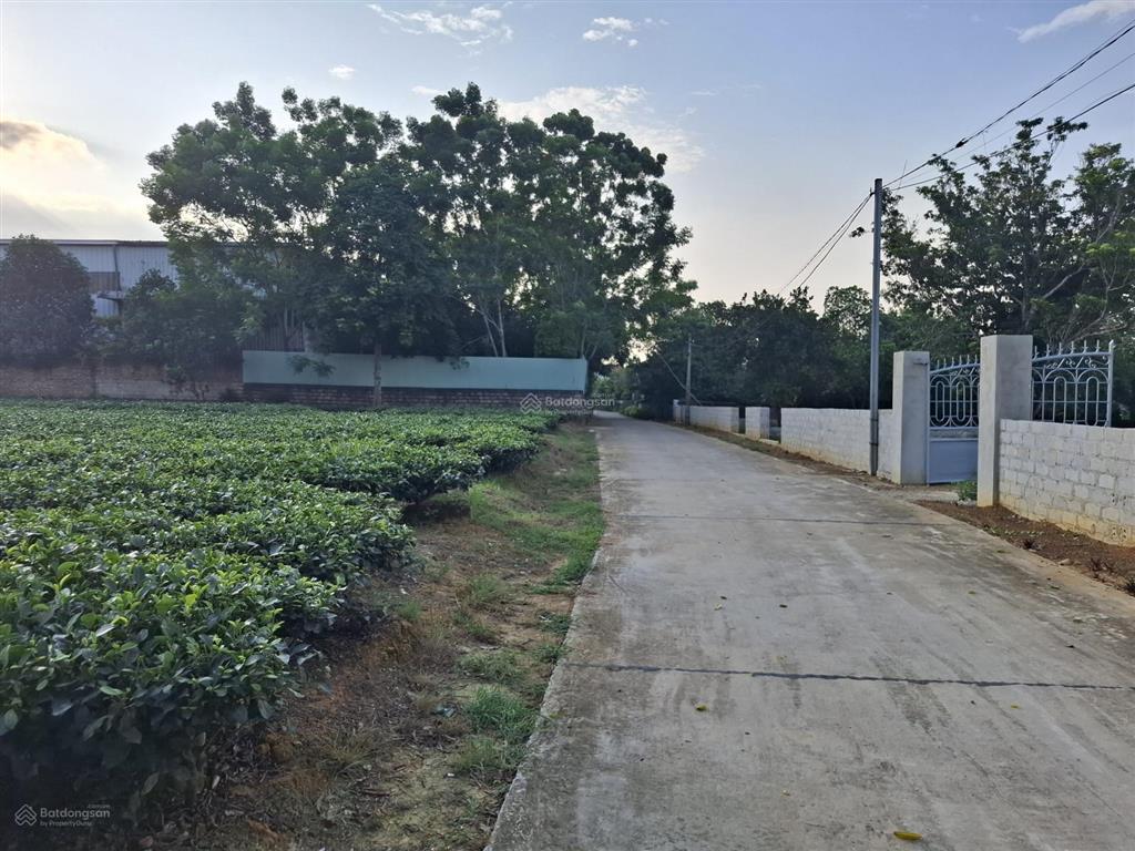 Bán đất tại xã yên bài, ba vì, hà nội, giá siêu hời 1,15 tỷ, 150m2