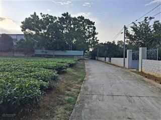 Bán đất tại xã yên bài, ba vì, hà nội, giá siêu hời 1,15 tỷ, 150m2
