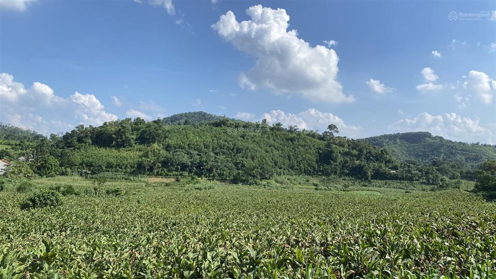 Một siêu phẩm nghỉ dưỡng tại khánh thượng, ba vì. mọi người sẽ rung rinh ngay từ cái nhìn đầu tiên