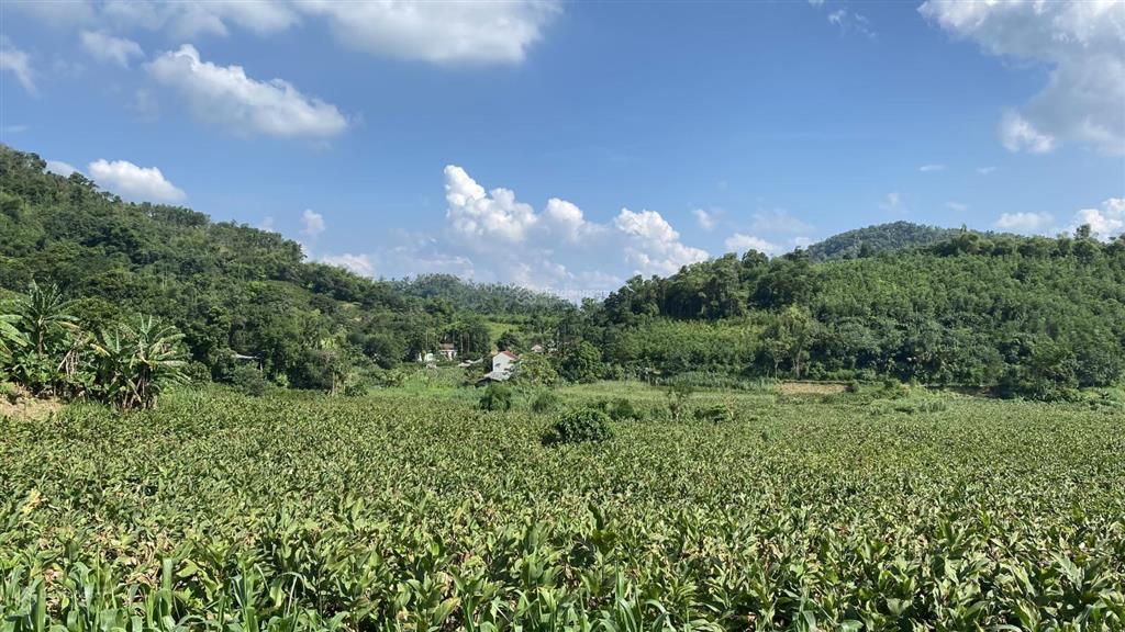 Một siêu phẩm nghỉ dưỡng tại khánh thượng, ba vì. mọi người sẽ rung rinh ngay từ cái nhìn đầu tiên