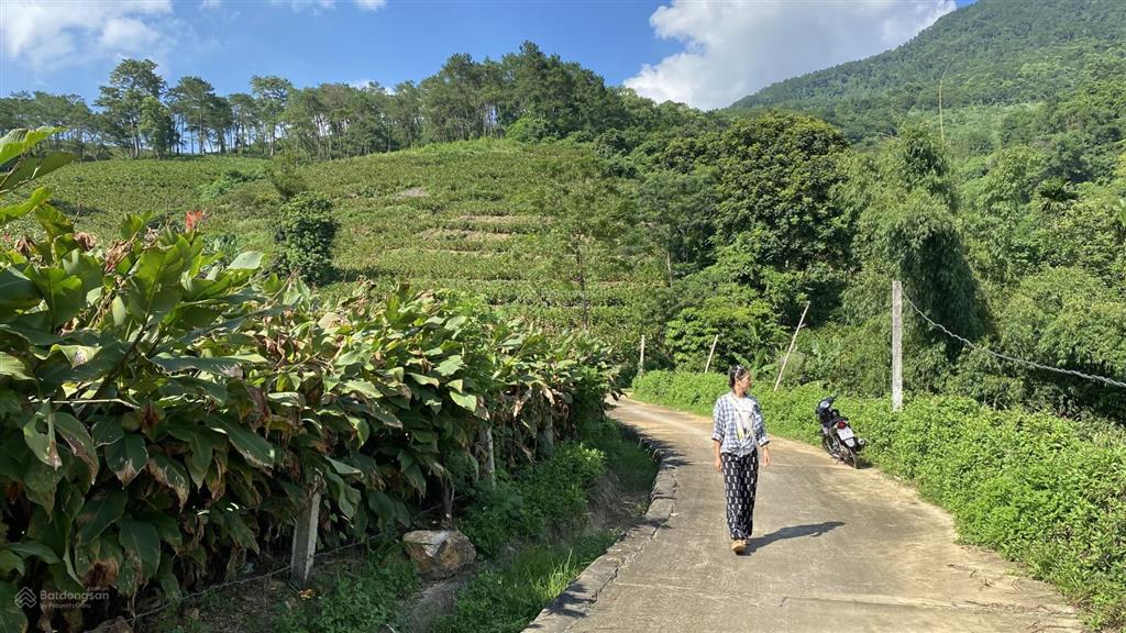 Một siêu phẩm nghỉ dưỡng tại khánh thượng, ba vì. mọi người sẽ rung rinh ngay từ cái nhìn đầu tiên