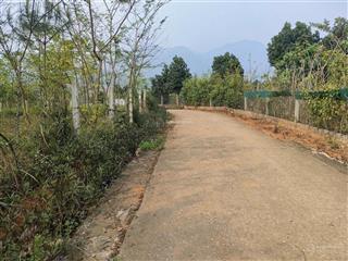 Tôi bán mảnh đất nghỉ dưỡng 1800m tại khánh thượng, ba vì. đất đẹp, đường lớn. đã có sổ đỏ