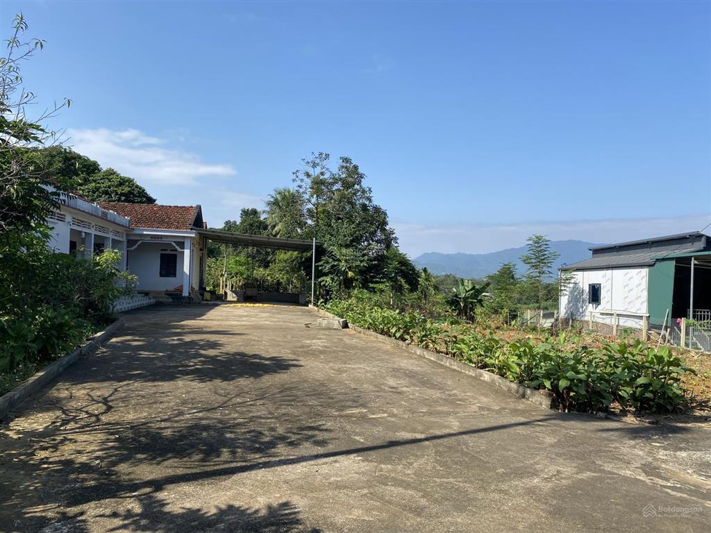 Tôi cần bán gấp lô đất mặt tỉnh lộ 415 minh quang, ba vì. mt 25m, sổ đỏ và có sẵn nhà cấp 4 đẹp