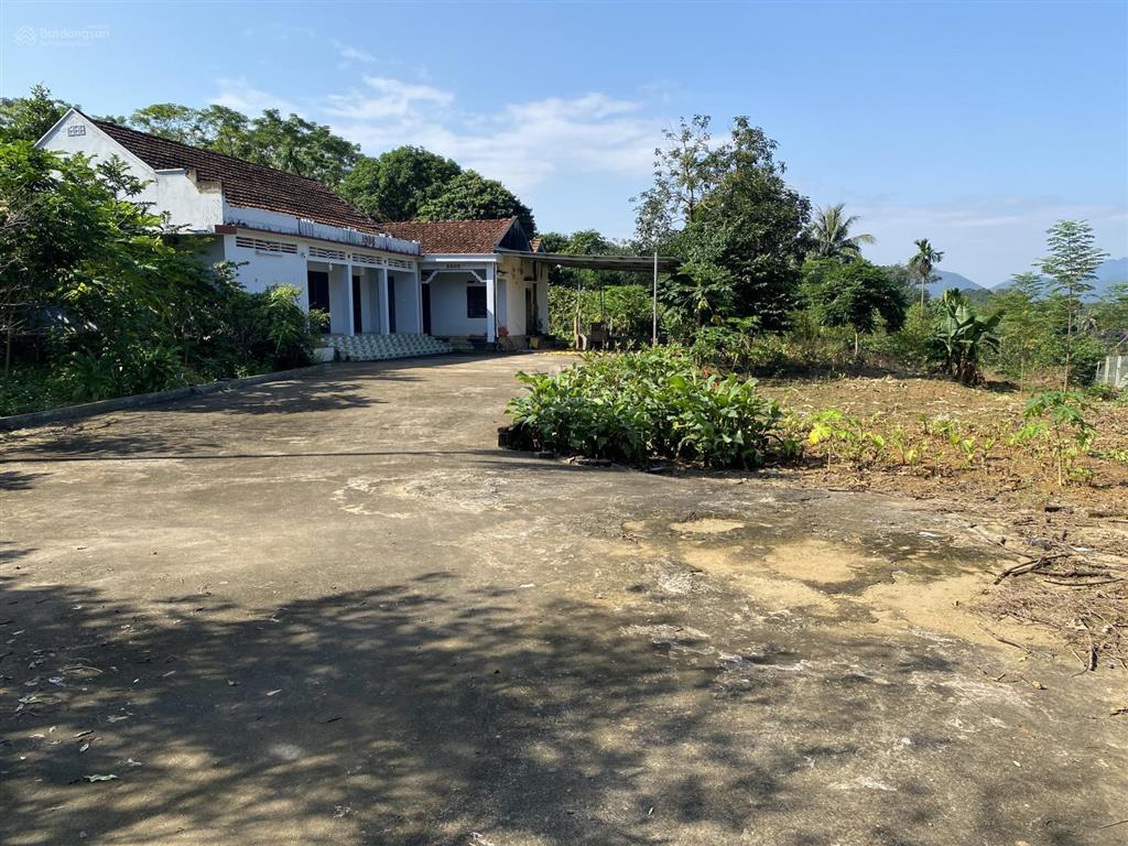 Tôi cần bán gấp lô đất mặt tỉnh lộ 415 minh quang, ba vì. mt 25m, sổ đỏ và có sẵn nhà cấp 4 đẹp