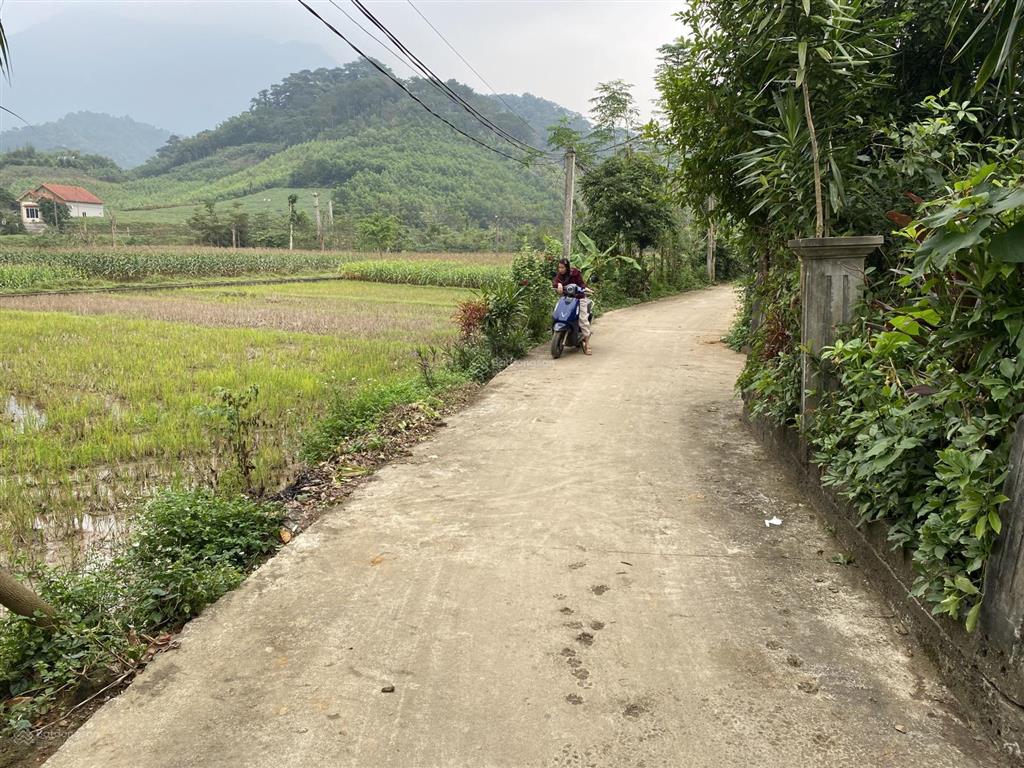 Tôi bán đất nhỏ nhỏ nghỉ dưỡng view cánh đồng thơ mộng, có sẵn nhà, sổ đỏ. dt 605m, giá chỉ 1.2 tỷ