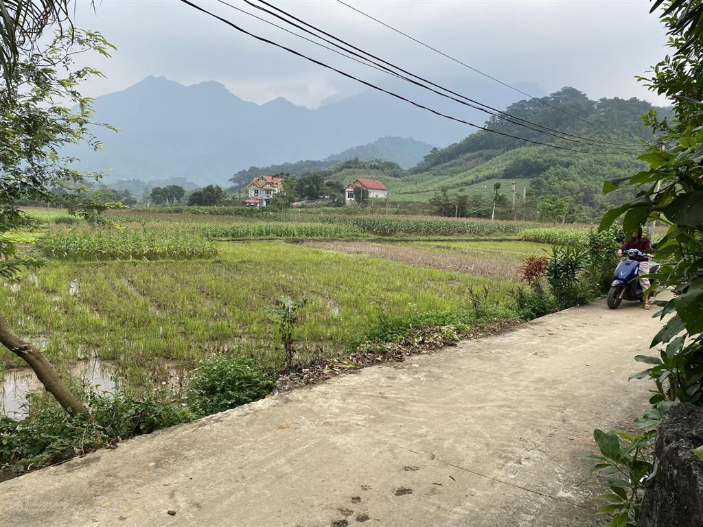 Tôi bán đất nhỏ nhỏ nghỉ dưỡng view cánh đồng thơ mộng, có sẵn nhà, sổ đỏ. dt 605m, giá chỉ 1.2 tỷ